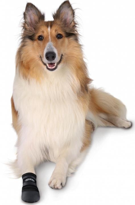 Image du produit Trixie Protection de la patte - Soins aux marcheurs (3XL, Chaussures pour chien)