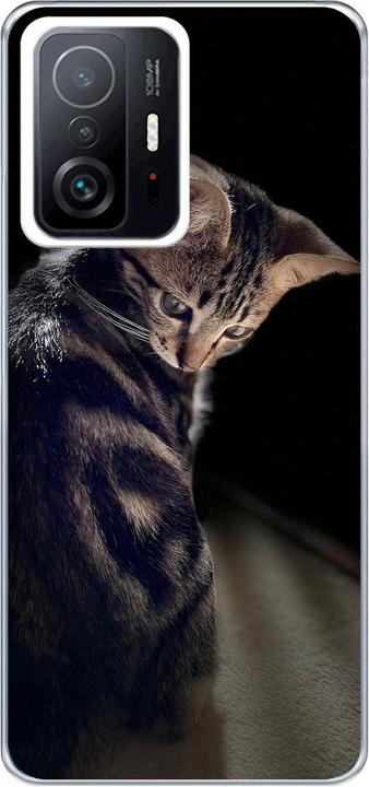 Junge Katze