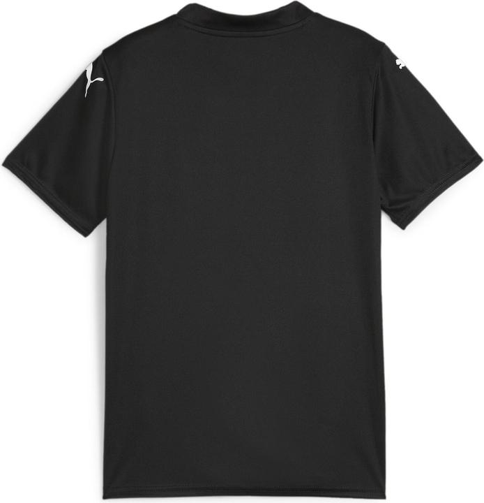 Image du produit Puma teamGLORY Jersey Jr (140)