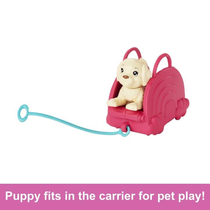 Immagine prodotto Barbie Doll and Accessories