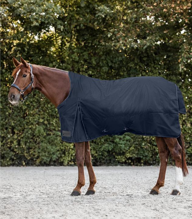 Waldhausen Nordic (145 cm)