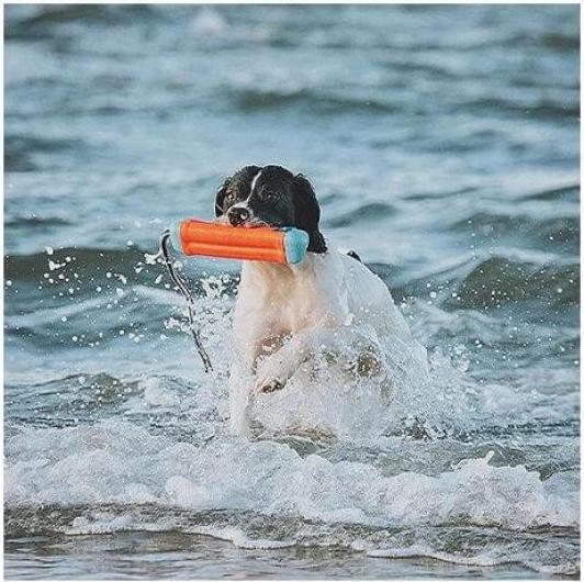 Produktbild Chuckit! Amphibious Bumper Assorti (Kauspielzeug Hund)