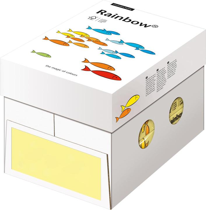 Actual product image Rainbow Copy paper (80 g/m², 500 x, A4)