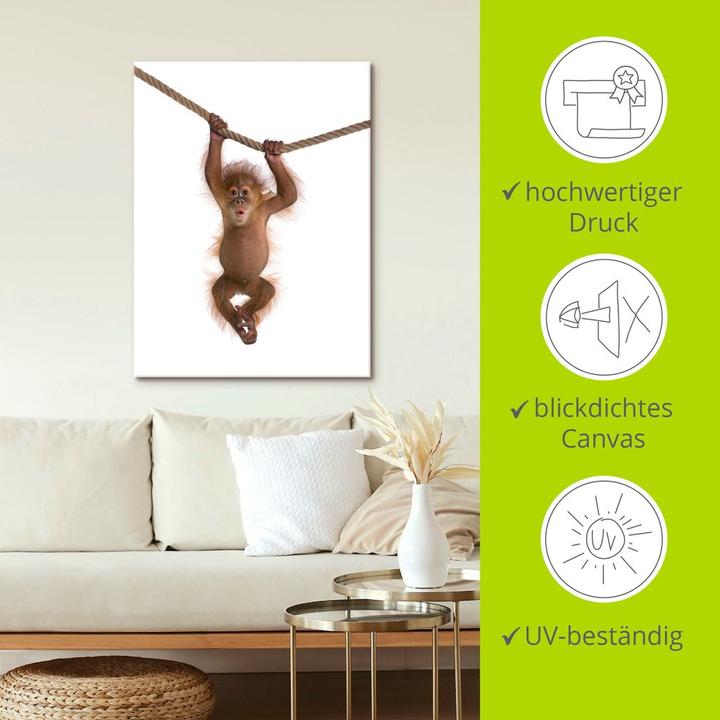 Immagine prodotto Artland Cucciolo di orango appeso alla corda II T5RK (30 x 40 cm)