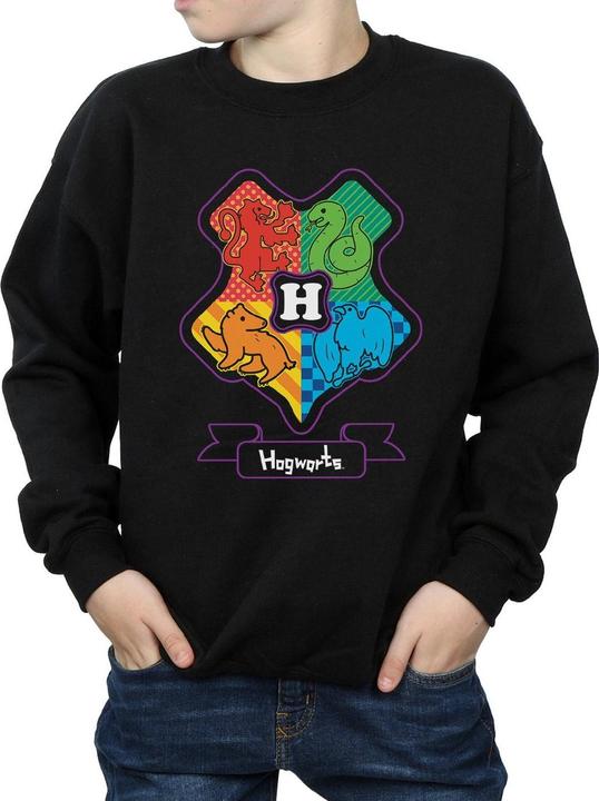 Produktbild Hogwarts Junior Crest Sweatshirt Jungen (152, 158)