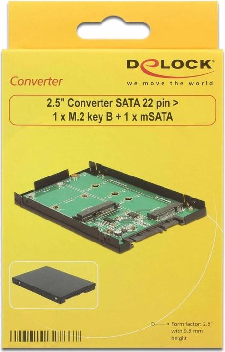 Image du produit Delock M.2 ou adaptateur mSATA vers SATA