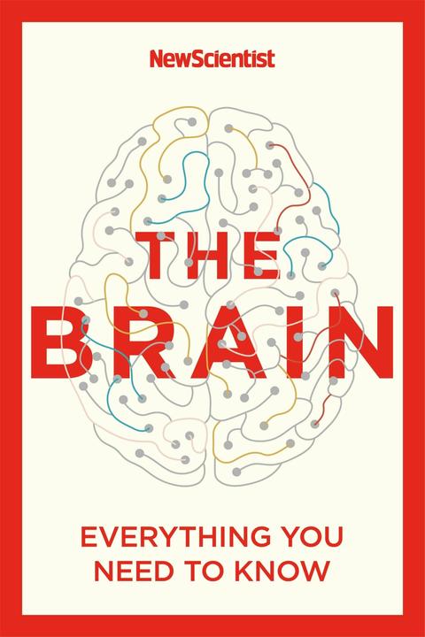Image du produit The Brain (Anglais, Nouveau scientifique, 2022)
