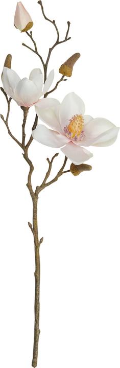 Image du produit micasa Magnolia (50 cm)