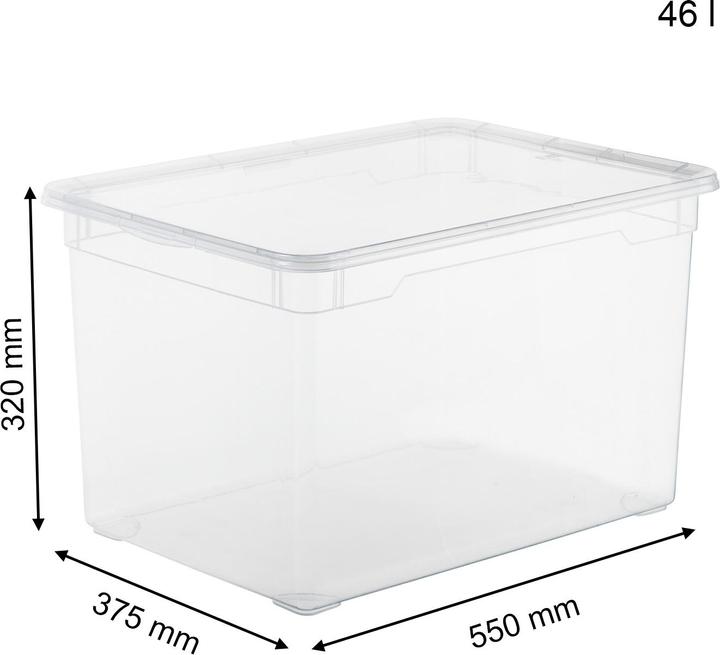 Image du produit Rotho Clair (55 x 37.5 x 32 cm, 46 l)