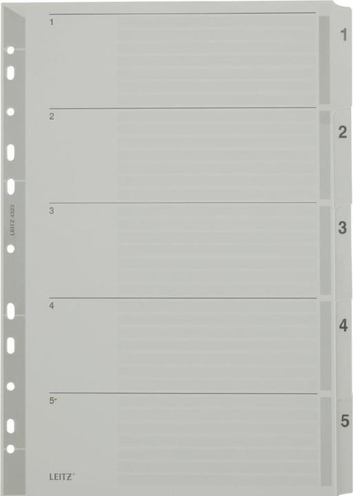 Produktbild Leitz Register Karton