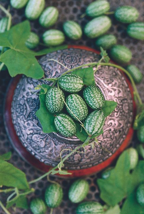 Actual product image Zollinger Bio Cornichon (pickle), Melothria