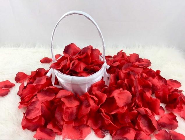 Image du produit Partydeco Roses à bord sombre