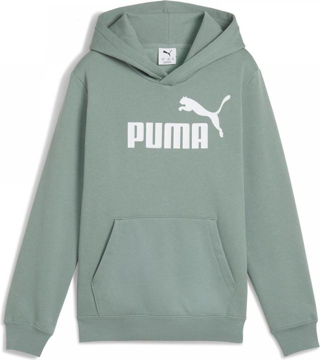 Actual product image Puma ESS No. 1 Logo Hoodie FL B (128)