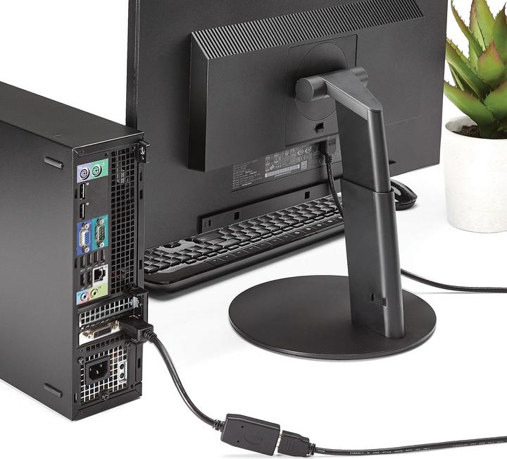 Actual product image StarTech Displayport Video Converter (HDMI, 24 cm)