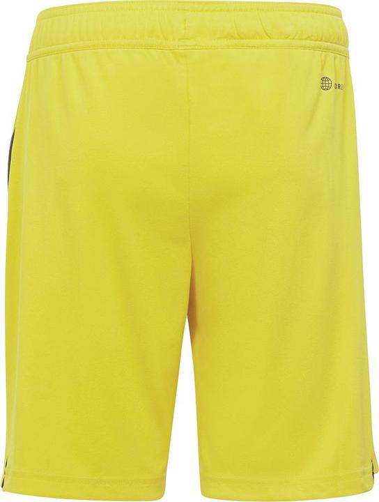 Actual product image adidas Tiro 23 training shorts kids (164)