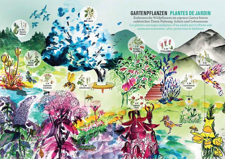 Image du produit Botanica 2024 (Français, Allemand, Beat Fischer, Nicolas Küffer, Botanica/Hortus Botanicus Helveticus, 2024)