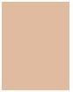 Actual product image Rimmel London Kind & Free Glow It Up Moisturising Skin Tint (001 Fair Porcelain)