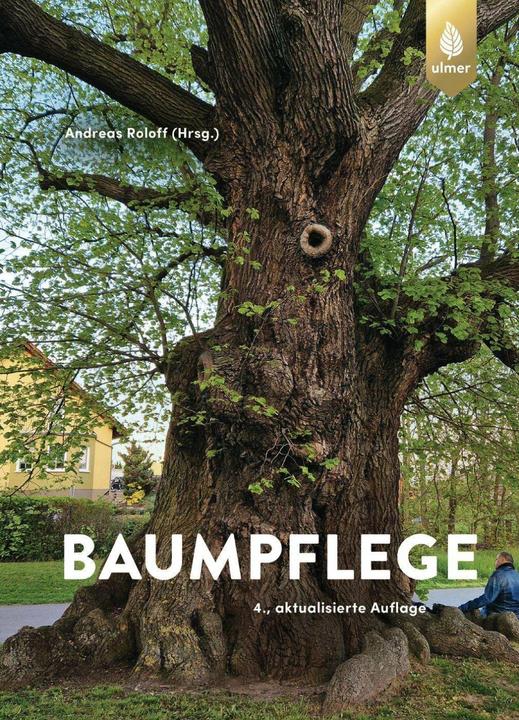 Image du produit Baumpflege (Allemand, Andreas Roloff, 2023)