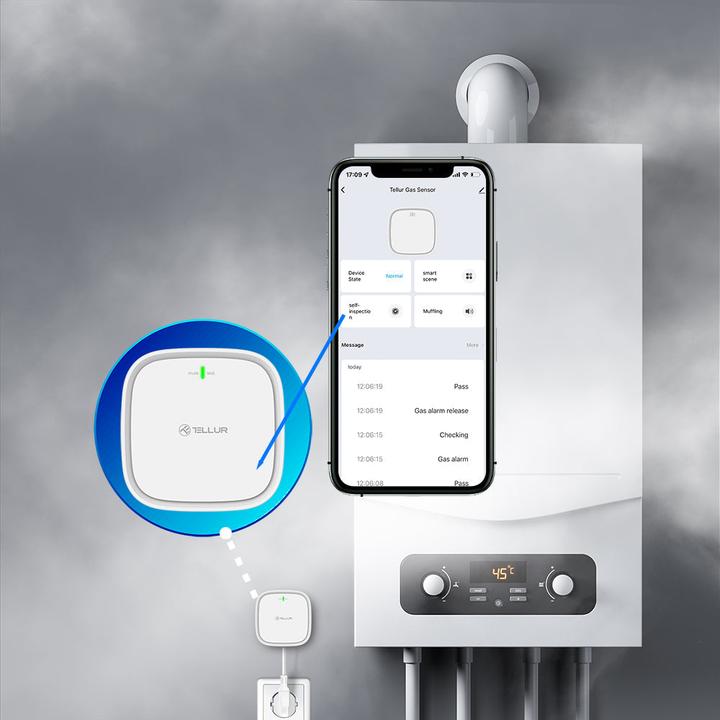Actual product image Tellur Smart WiFi Gas Sensor DC12V 1A baltas