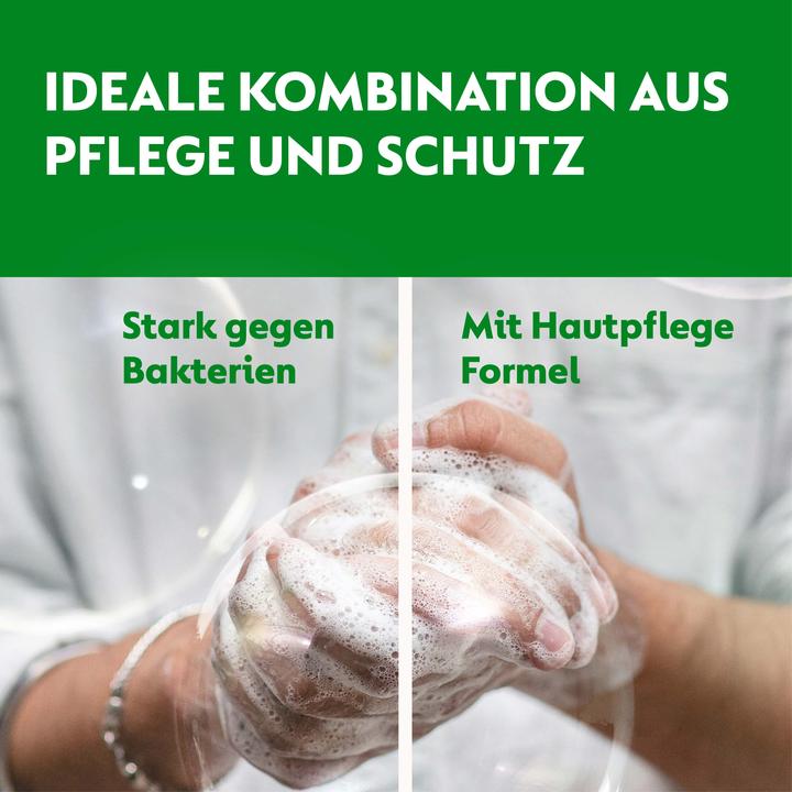 Actual product image Dettol No Touch (Liquid soap, 250 ml)