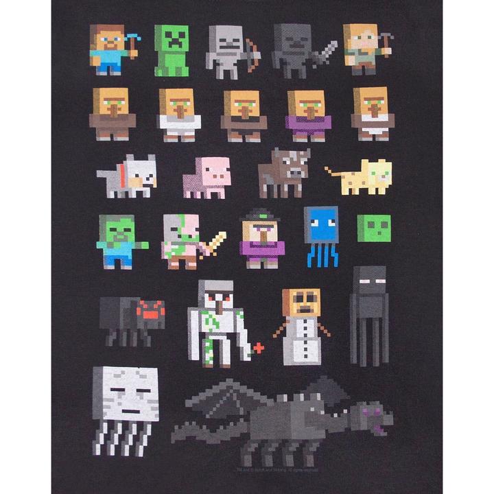 Actual product image Minecraft Sprite character (128)