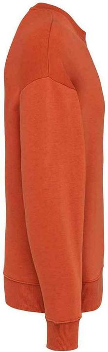 Immagine prodotto Native Spirit Felpa oversize (XL)