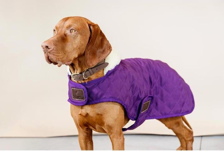 Produktbild Kentucky Dogwear Hundemantel Original (XXS, Hundemantel)
