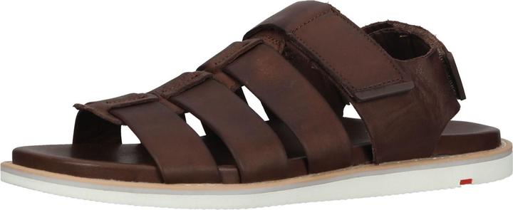 Actual product image Lloyd Elimar (46)