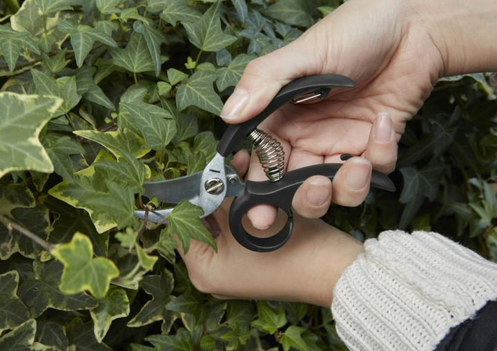 Actual product image Kikkerland Garden Shears