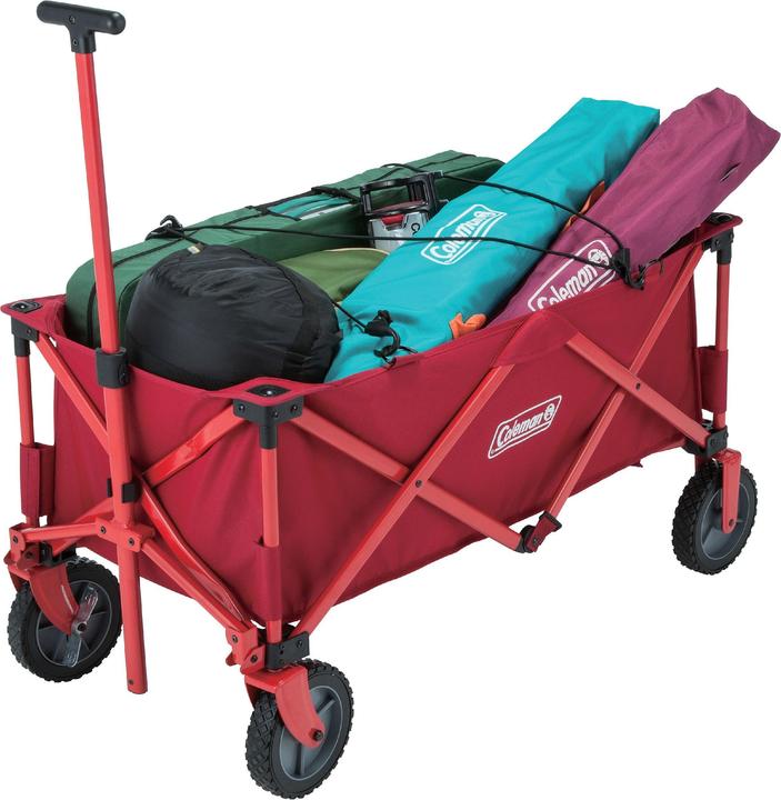 Actual product image Coleman Ladder trolley