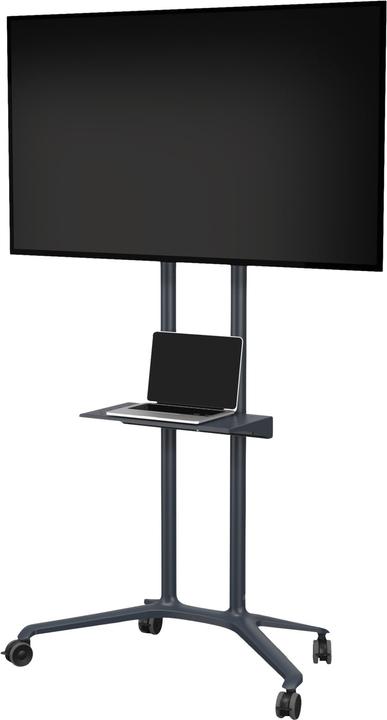 Actual product image SMS 130-001-2 - 50 kg - 81.3 cm (32 inch) - 190.5 cm (75 inch) (75", 50 kg)