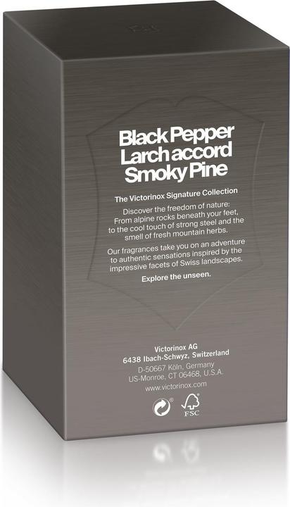 Image du produit Victorinox Black Steel Eau de Toilette (Eau de toilette, 100 ml)