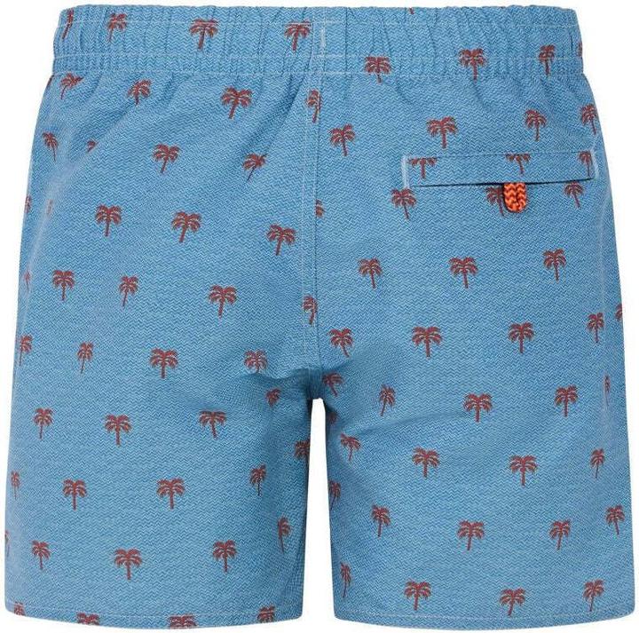 Produktbild Protest Swim shorts PRTSteven JR beachshort (152)