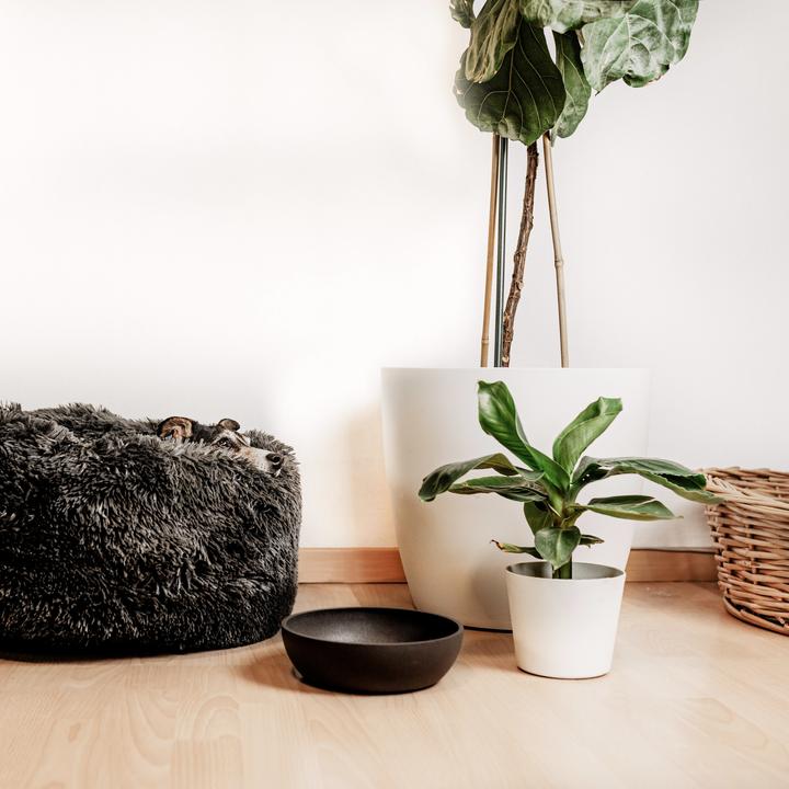 Actual product image District 70 Bamboo Dog Bowl (1 l)