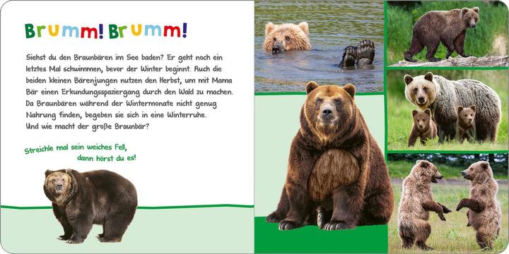 Produktbild Hör mal rein, wer kann das sein? – Tiere im Herbst (Deutsch)