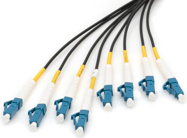 Produktbild Digitus Vorkonfektionierte Glasfaser Universal Breakout Kabel, Multimode OS2, 8 Fasern, LC/UPC - LC/UPC (UTP, CAT6, 50 m)