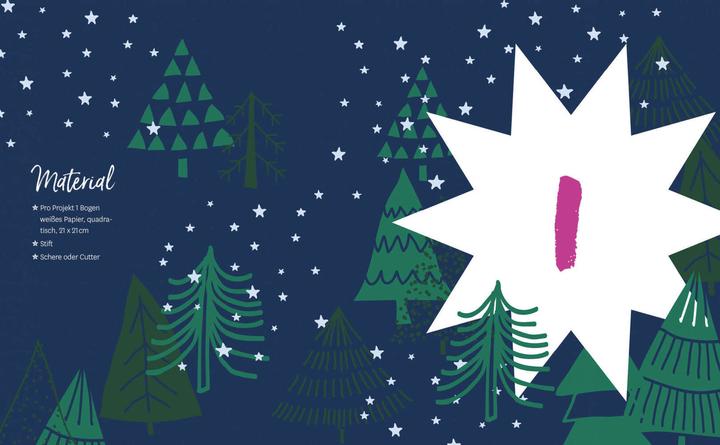 Actual product image Advent Calendar - Poinsettias