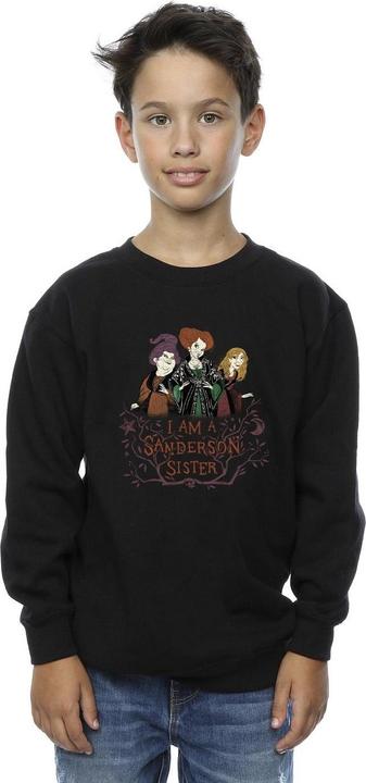 Image du produit Disney - Sweat HOCUS POCUS SANDERSON SISTER - Garçon (116)