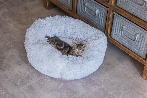 Actual product image Beeztees Vacuum (Cat)