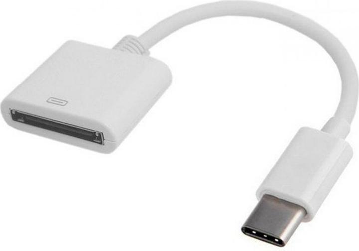 PowerGuard Dock Adapter Kabel (USB Typ C, 30-pin)