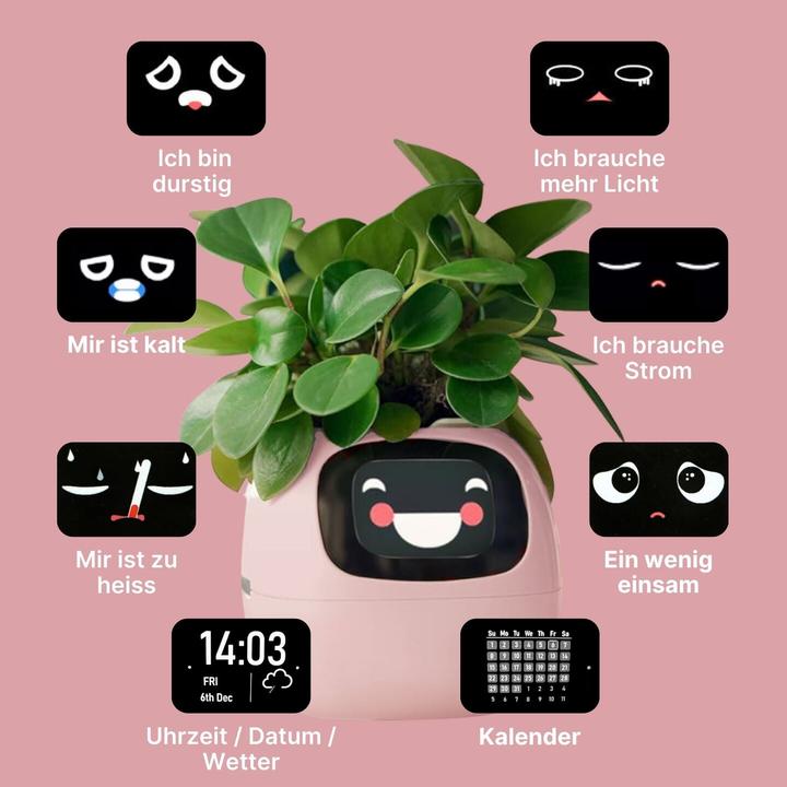 Image du produit Hermex Pot de fleurs intelligent (11 cm)