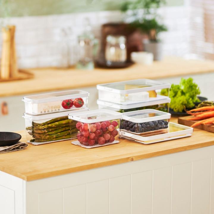 Actual product image Rotho Refrigerator organis. Cauma