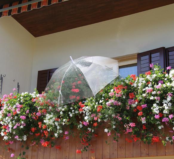 Actual product image Tegro Pflanzenschutzschirm (83 cm, 83 cm)