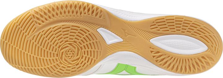 Actual product image Mizuno Morelia Sala Pro In (40)