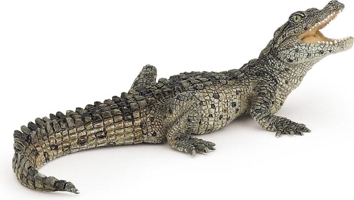 Image du produit Papo Jeune crocodile