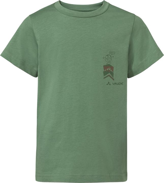 Verde salice