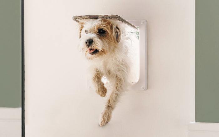 Actual product image Cat Mate 4-way locking cat flap, XL, white (Magnetic cat flap)