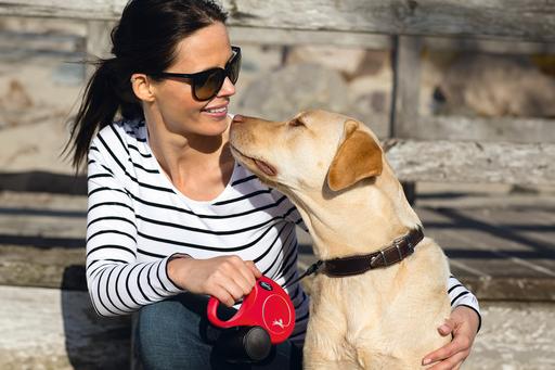 Actual product image Flexi New Classic belt (L, Dog, Walks)