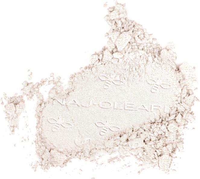 Immagine prodotto Naj Oleari Colour Fair Eyeshadow Wet&Dry 01 Neve perlata 2g (neve perlata)