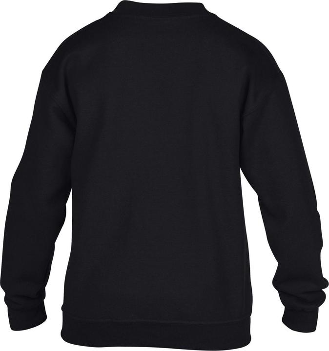 Actual product image Gildan Childrens/Kids Heavy Blend Crew Neck Sweatshirt (158, 164)